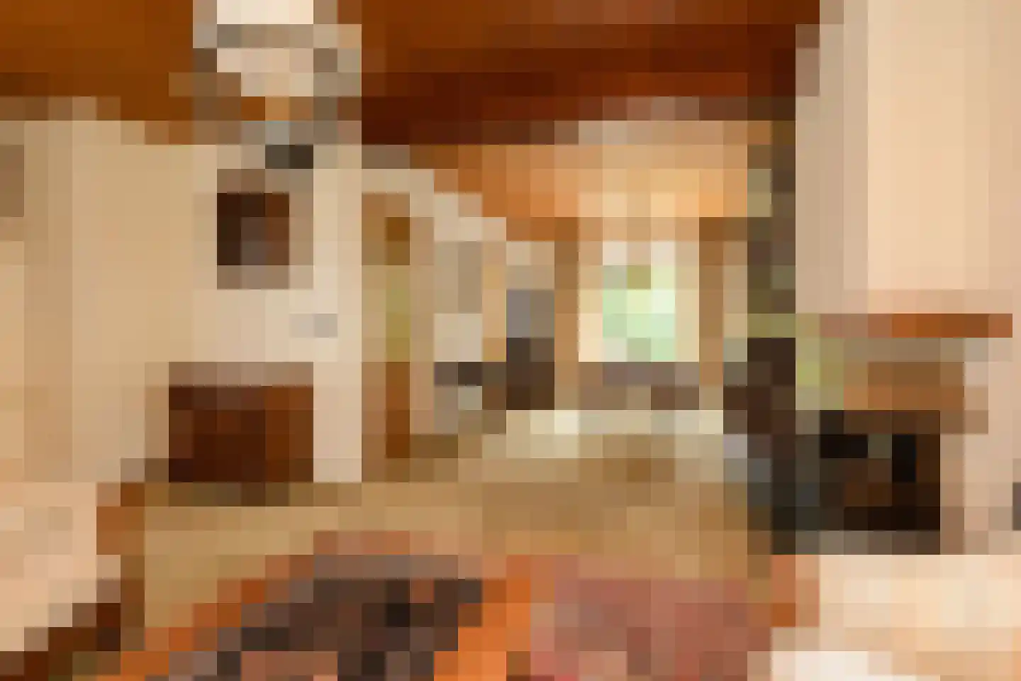 Hemdijk 11 Sneek thumbnail 8