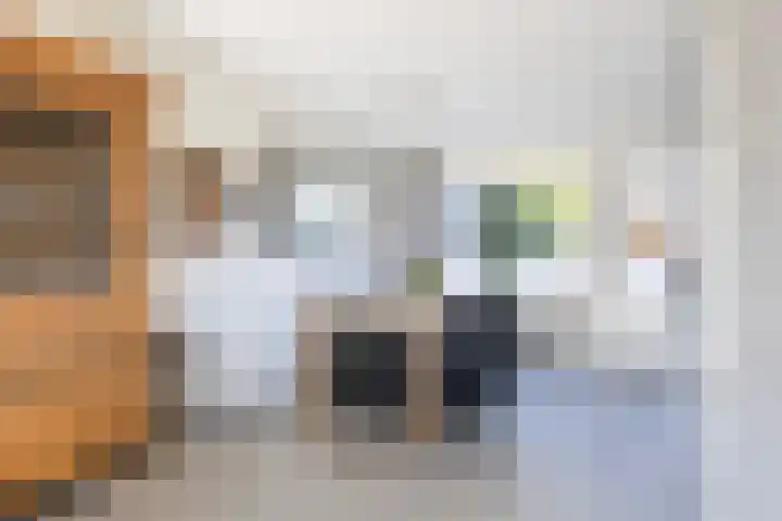 Hemdijk 26 Sneek thumbnail 11