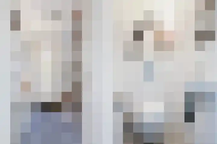 Hemdijk 26 Sneek thumbnail 7