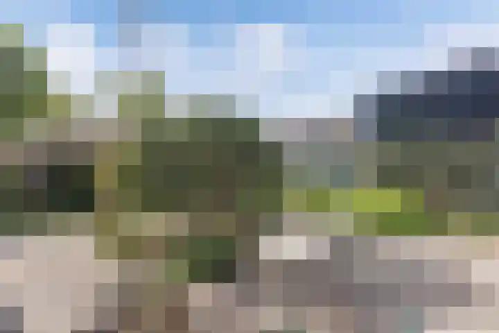 Hemdijk 55 Sneek thumbnail 21