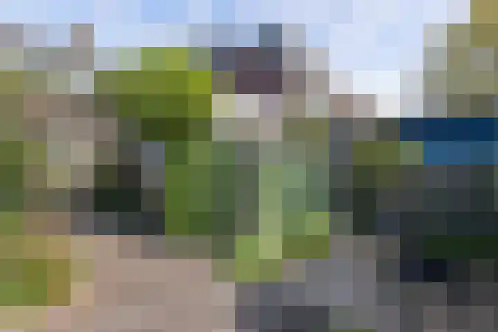 Hemdijk 55 Sneek thumbnail 22