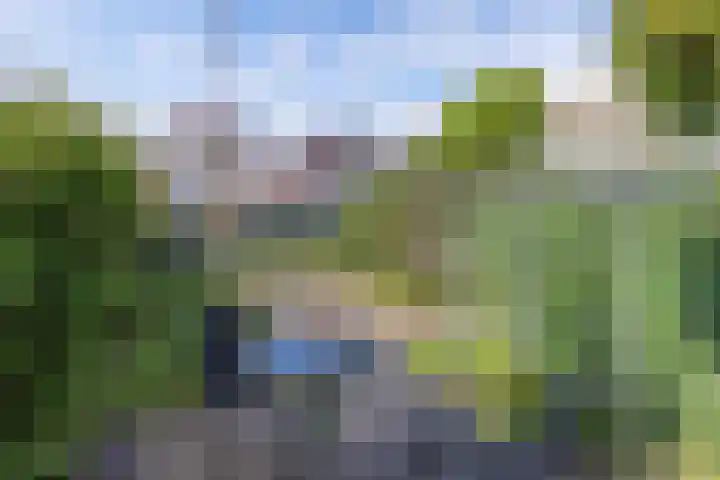 Hemdijk 55 Sneek thumbnail 23