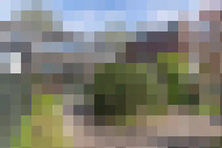 Hemdijk 55 Sneek thumbnail 25