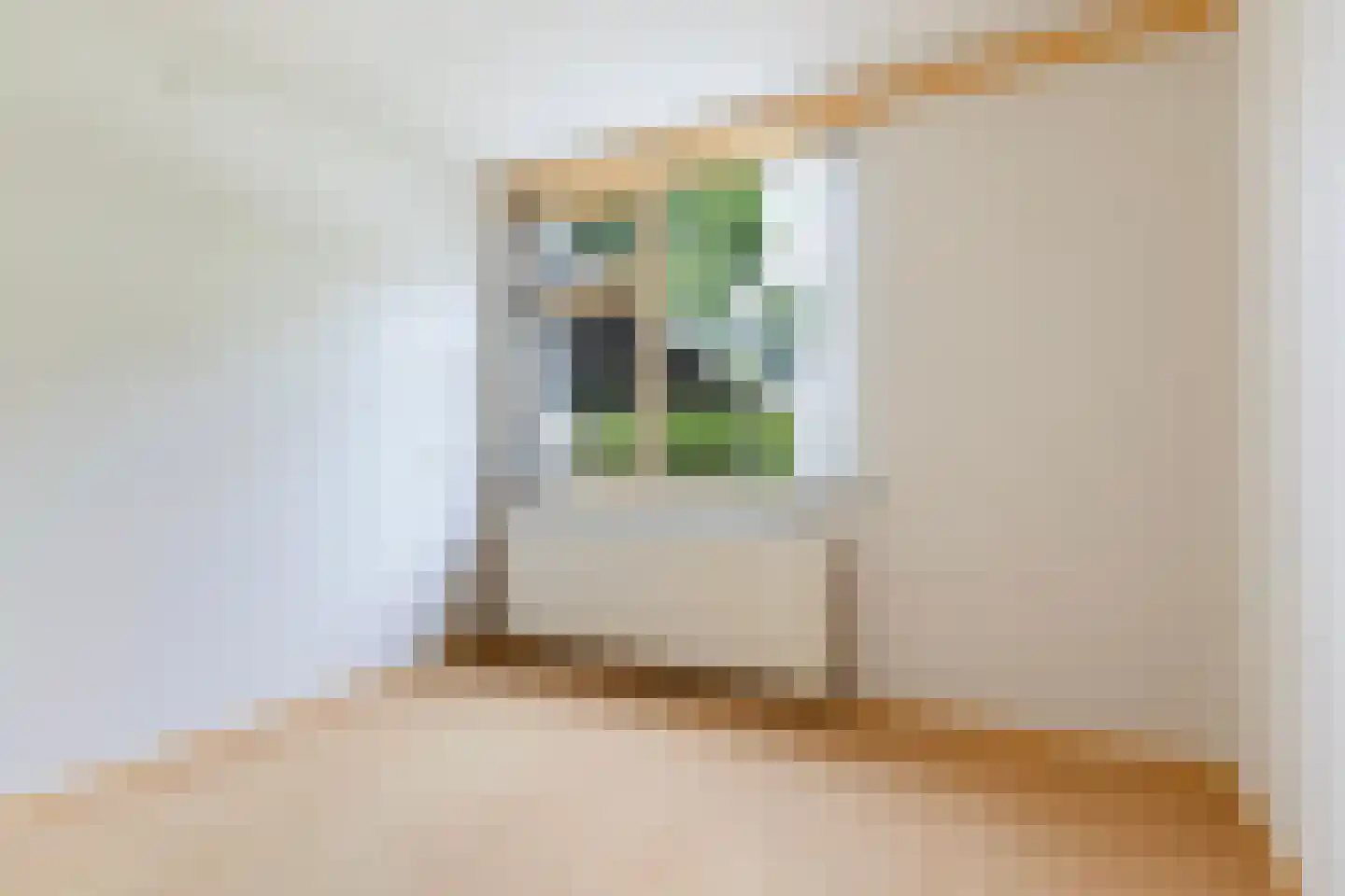 Hemdijk 8 Sneek thumbnail 22