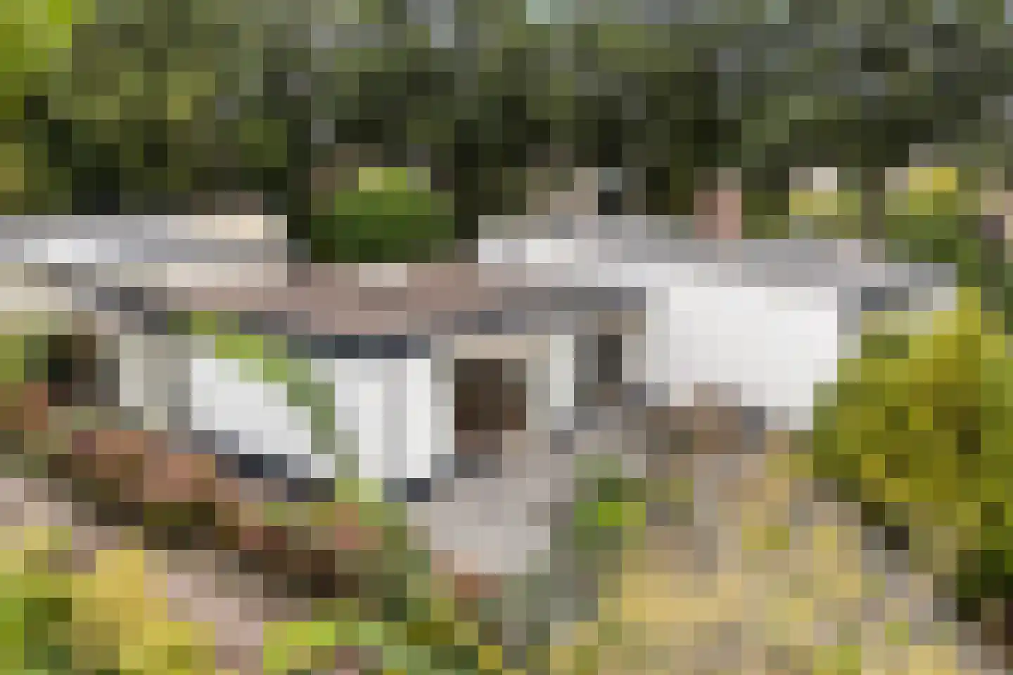 Hemdijk 8 Sneek thumbnail 41