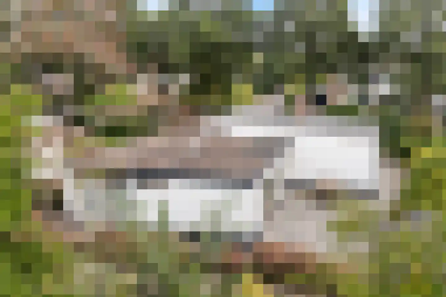 Hemdijk 8 Sneek thumbnail 42
