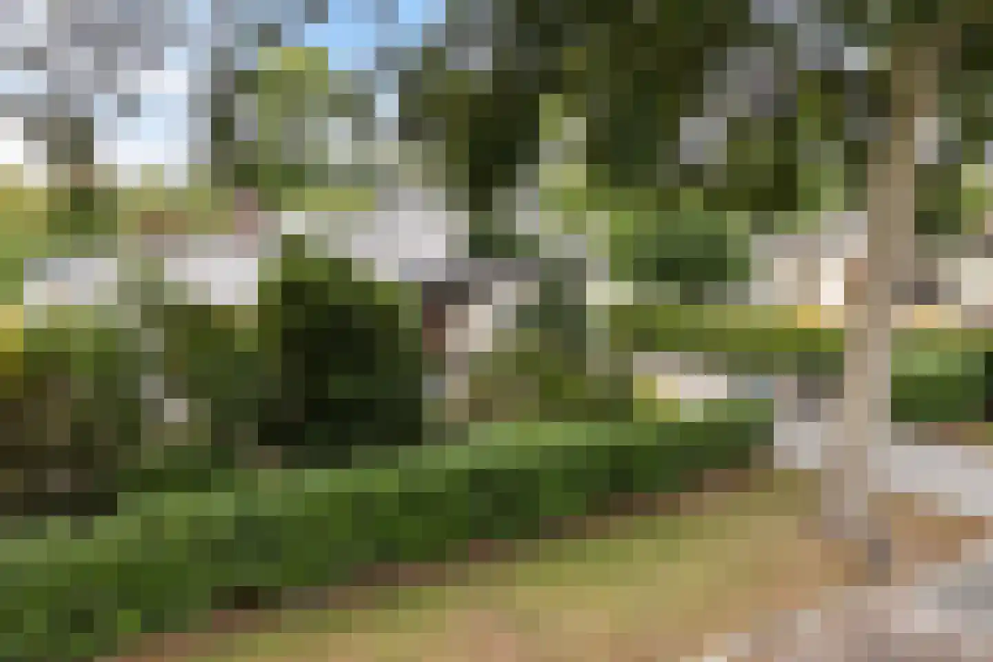 Hemdijk 8 Sneek thumbnail 46