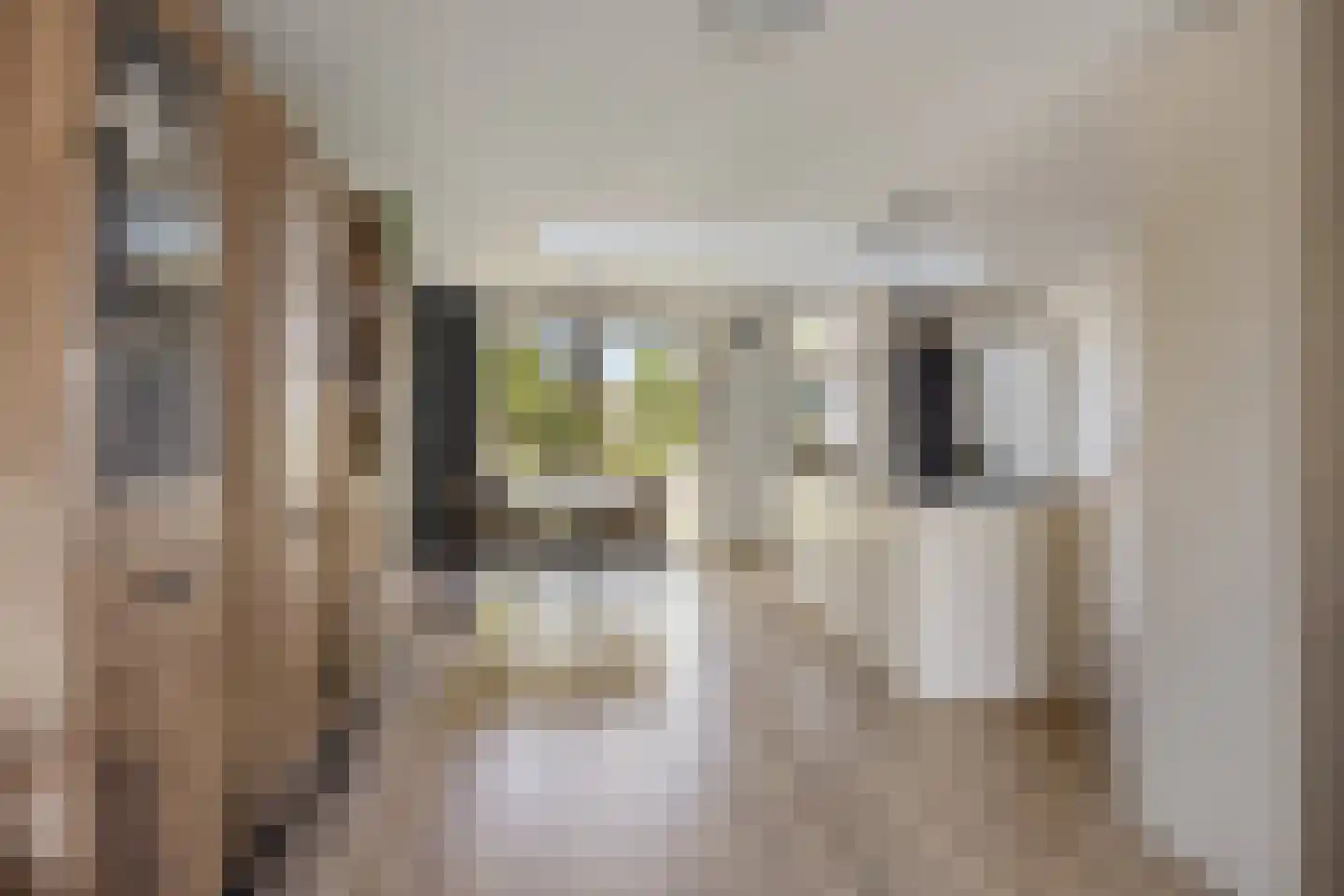 Hemelaar 25 Lierop thumbnail 10