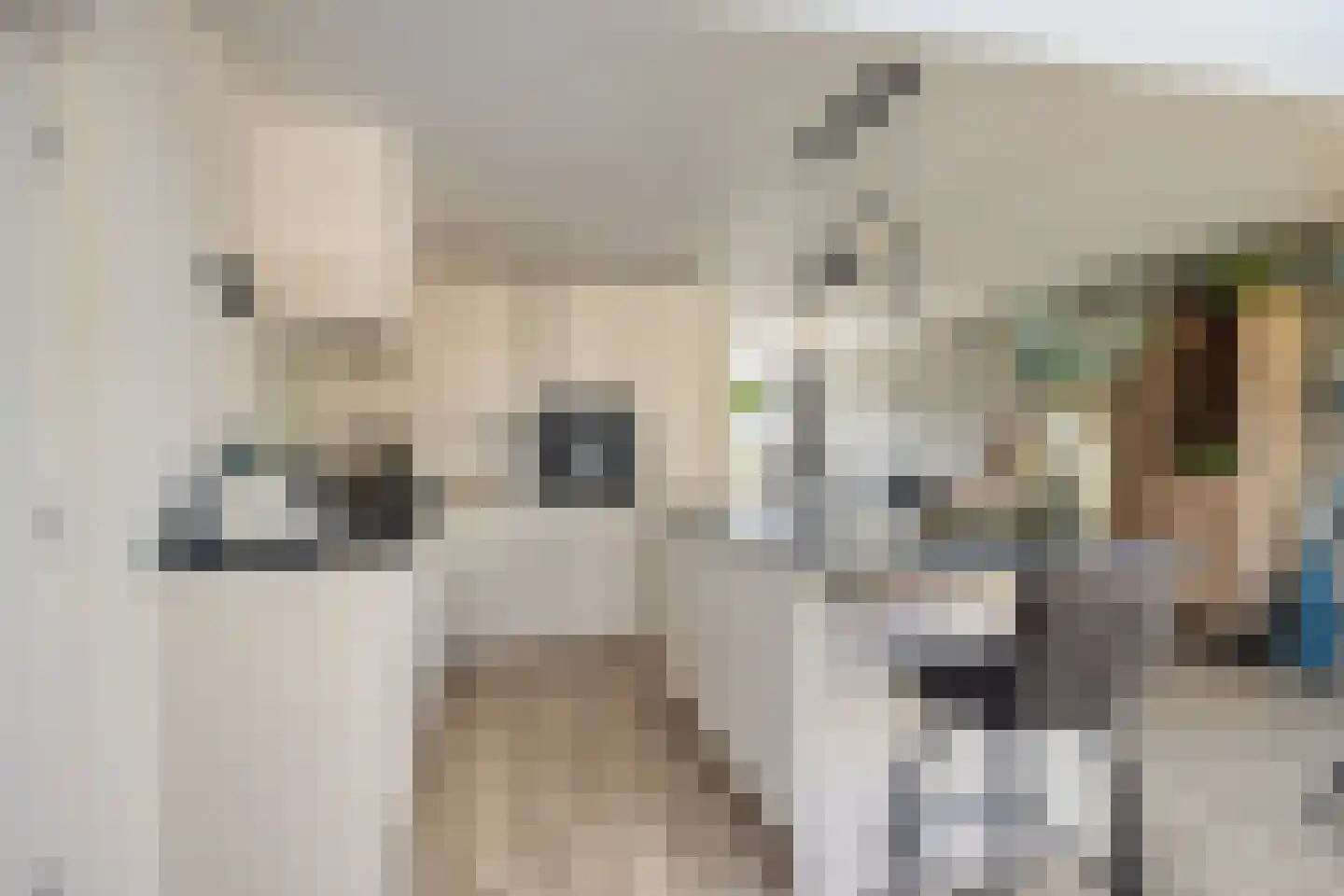 Hemelaar 25 Lierop thumbnail 12
