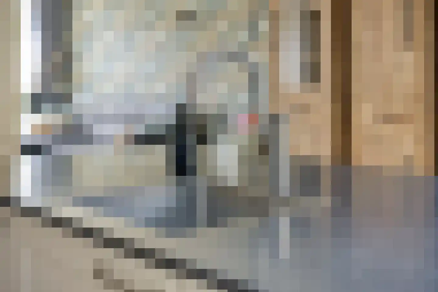 Hemelaar 25 Lierop thumbnail 13