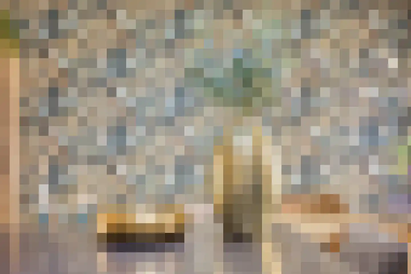 Hemelaar 25 Lierop thumbnail 15