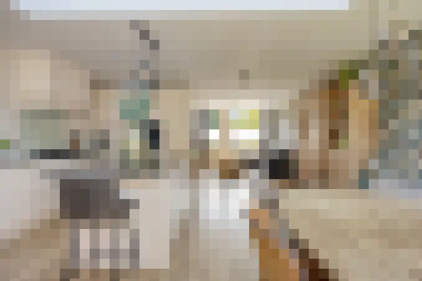 Hemelaar 25 Lierop thumbnail 17