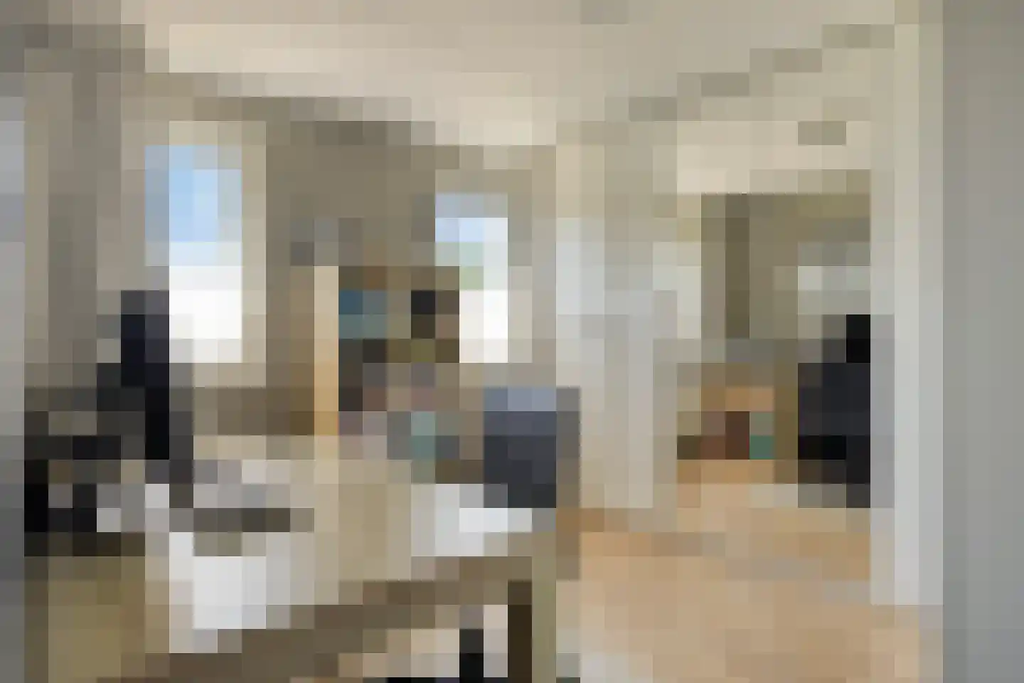 Hemelaar 25 Lierop thumbnail 22