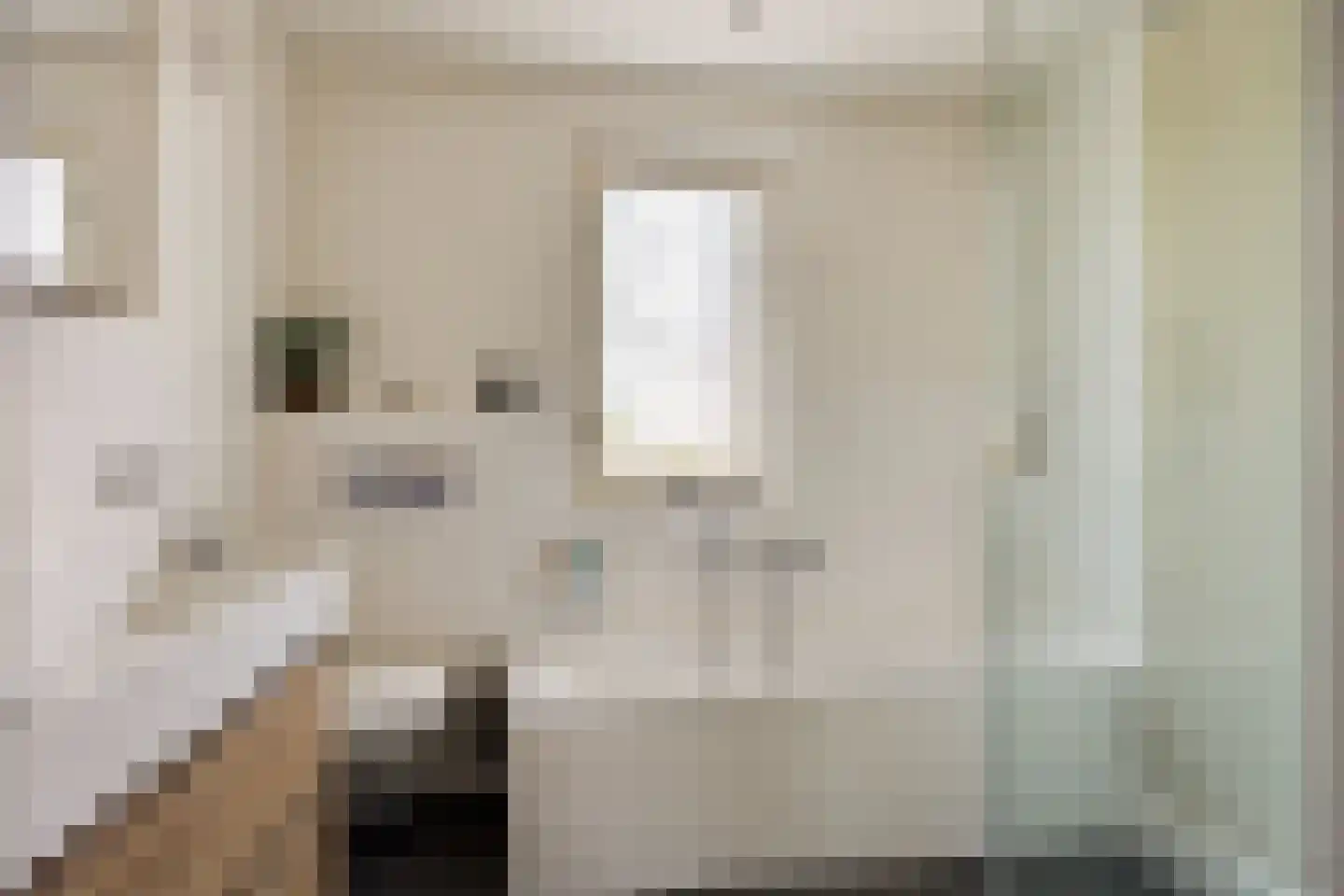Hemelaar 25 Lierop thumbnail 25