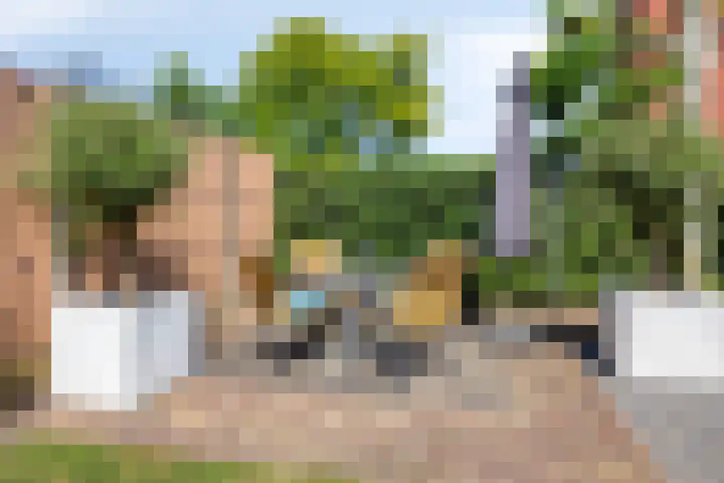 Hemelaar 25 Lierop thumbnail 31