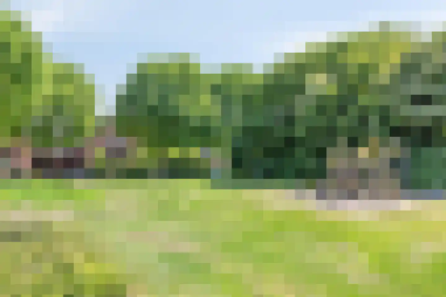 Hemelaar 25 Lierop thumbnail 33