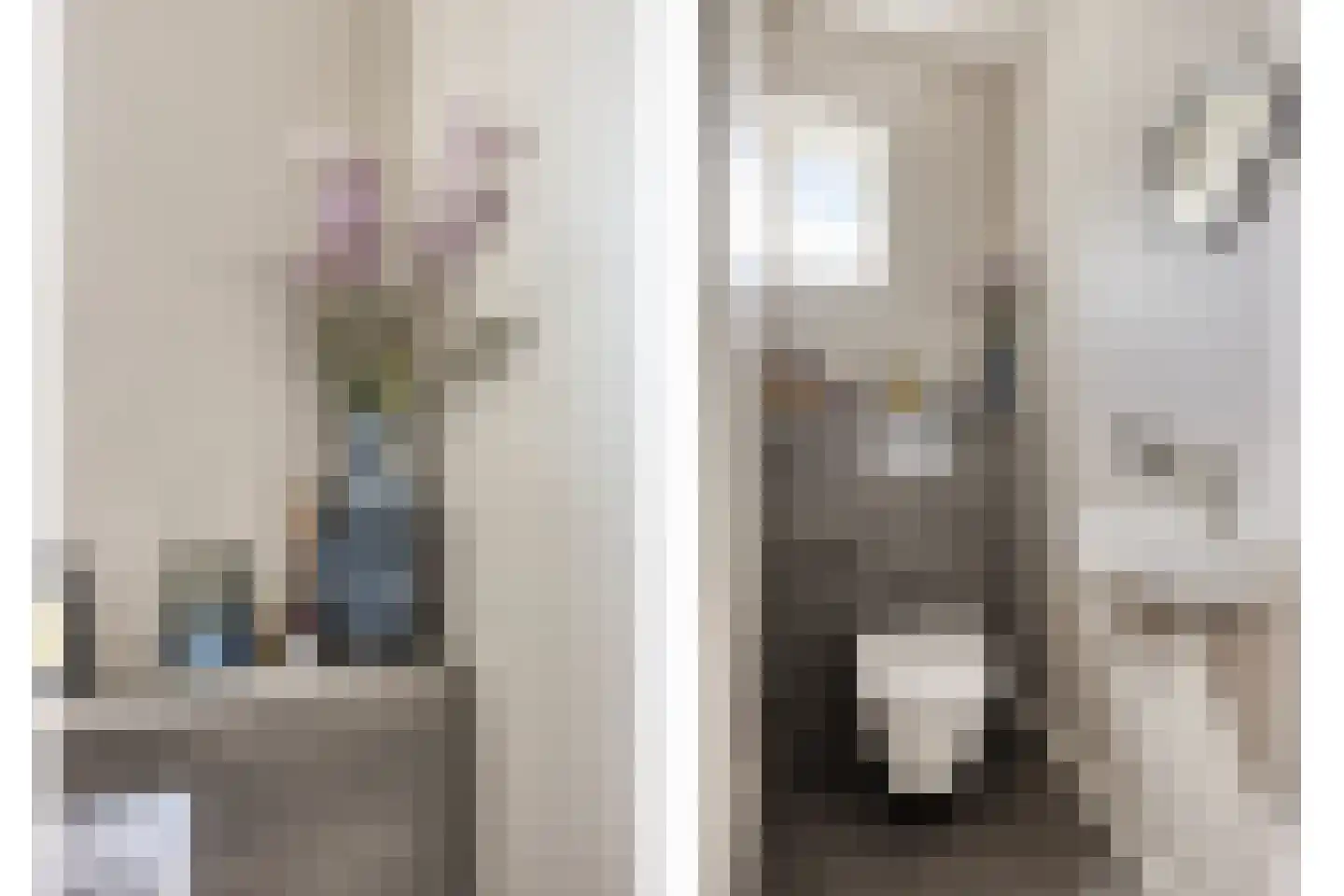 Hemelaar 25 Lierop thumbnail 6