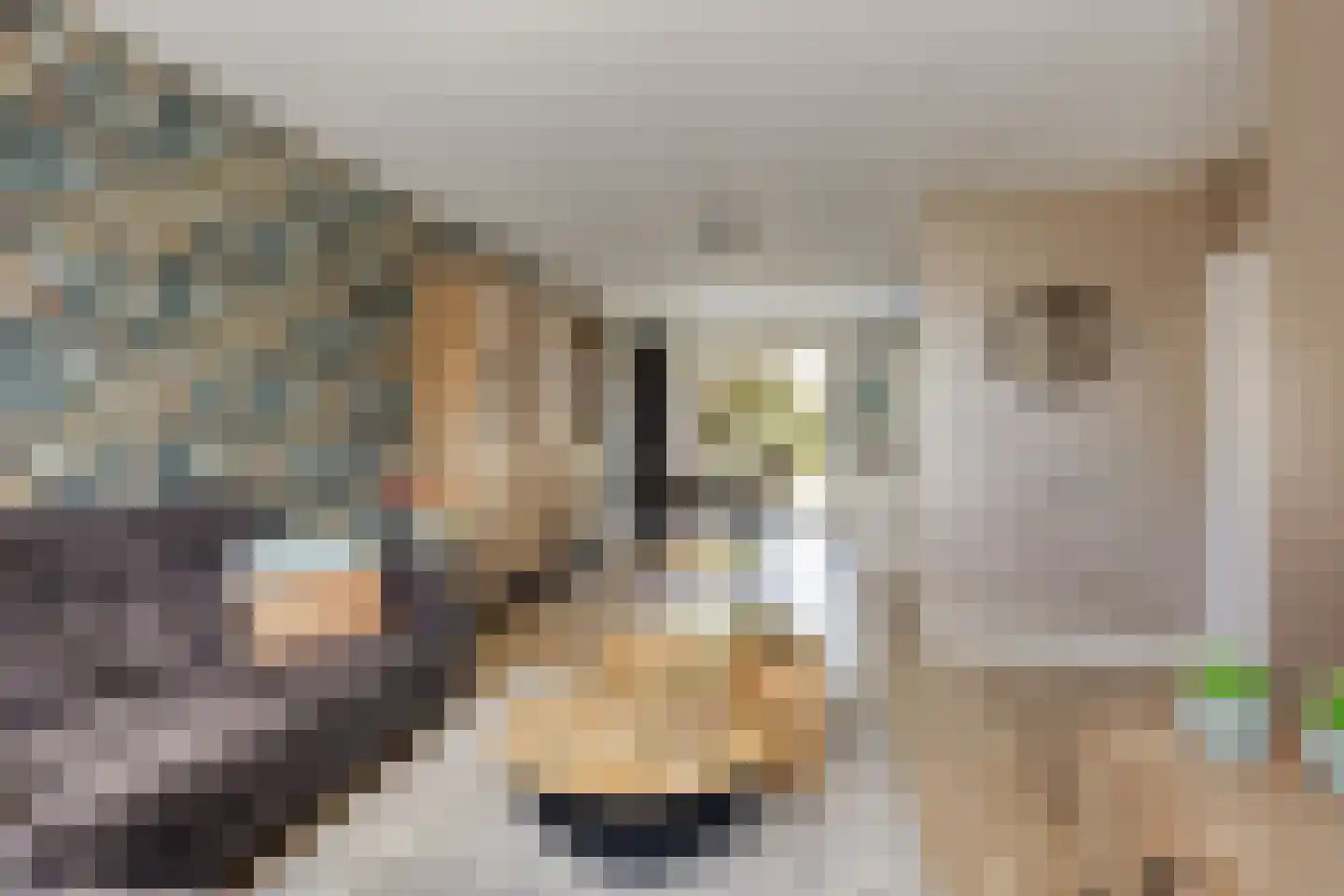 Hemelaar 25 Lierop thumbnail 9