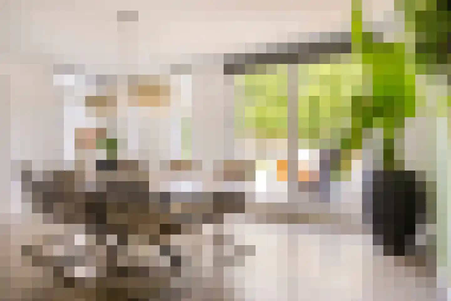 Hemelberg 40 Asten thumbnail 12