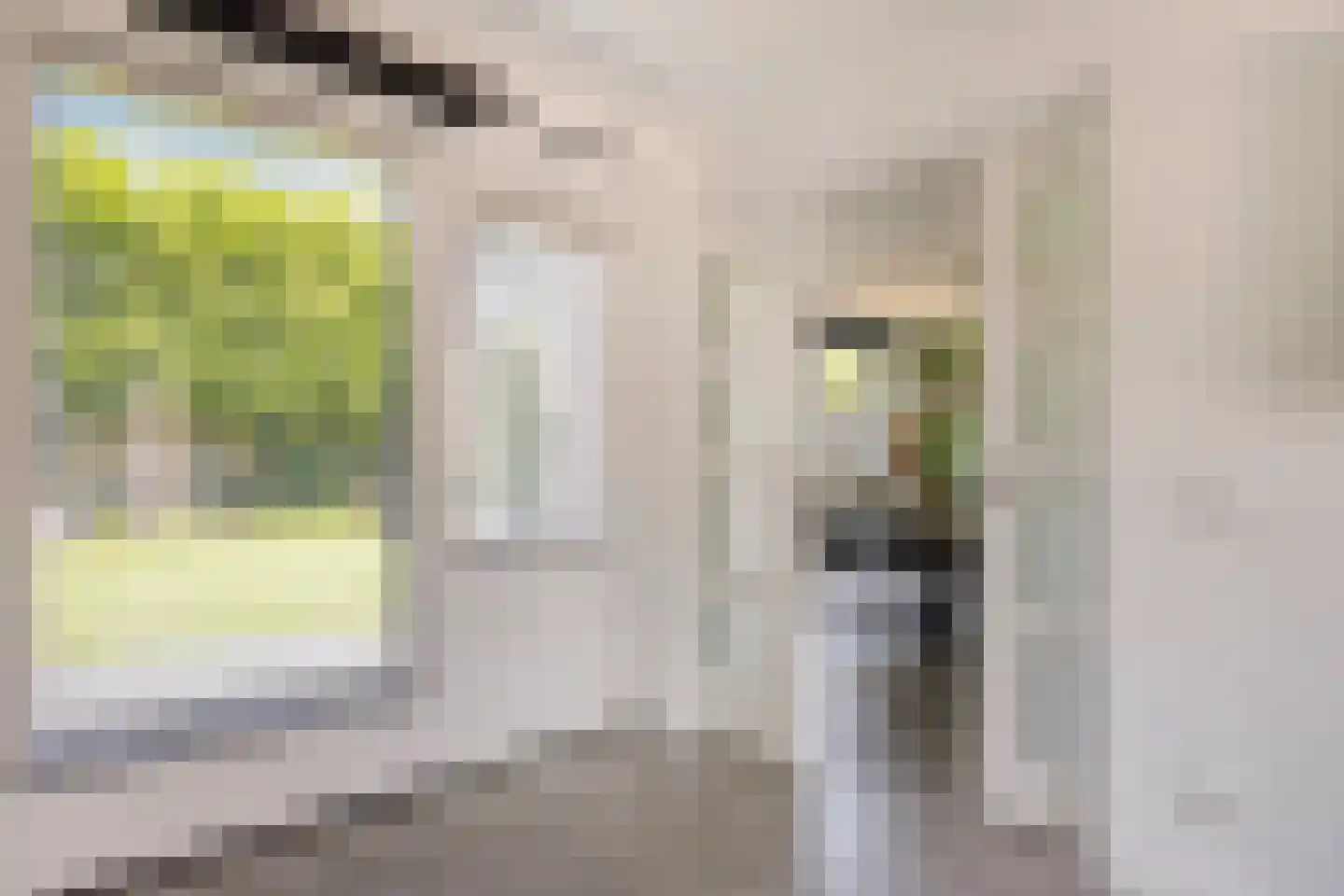 Hemelberg 40 Asten thumbnail 16