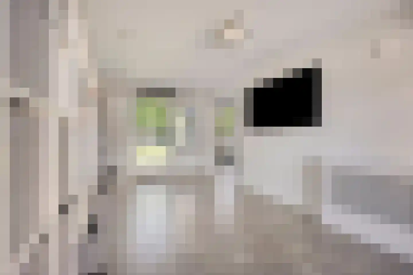 Hemelberg 40 Asten thumbnail 17