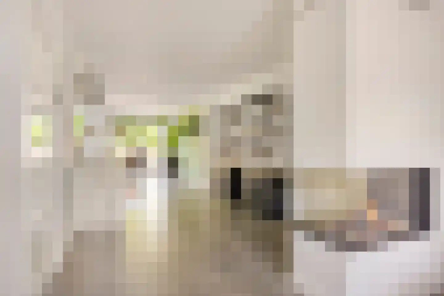 Hemelberg 40 Asten thumbnail 6