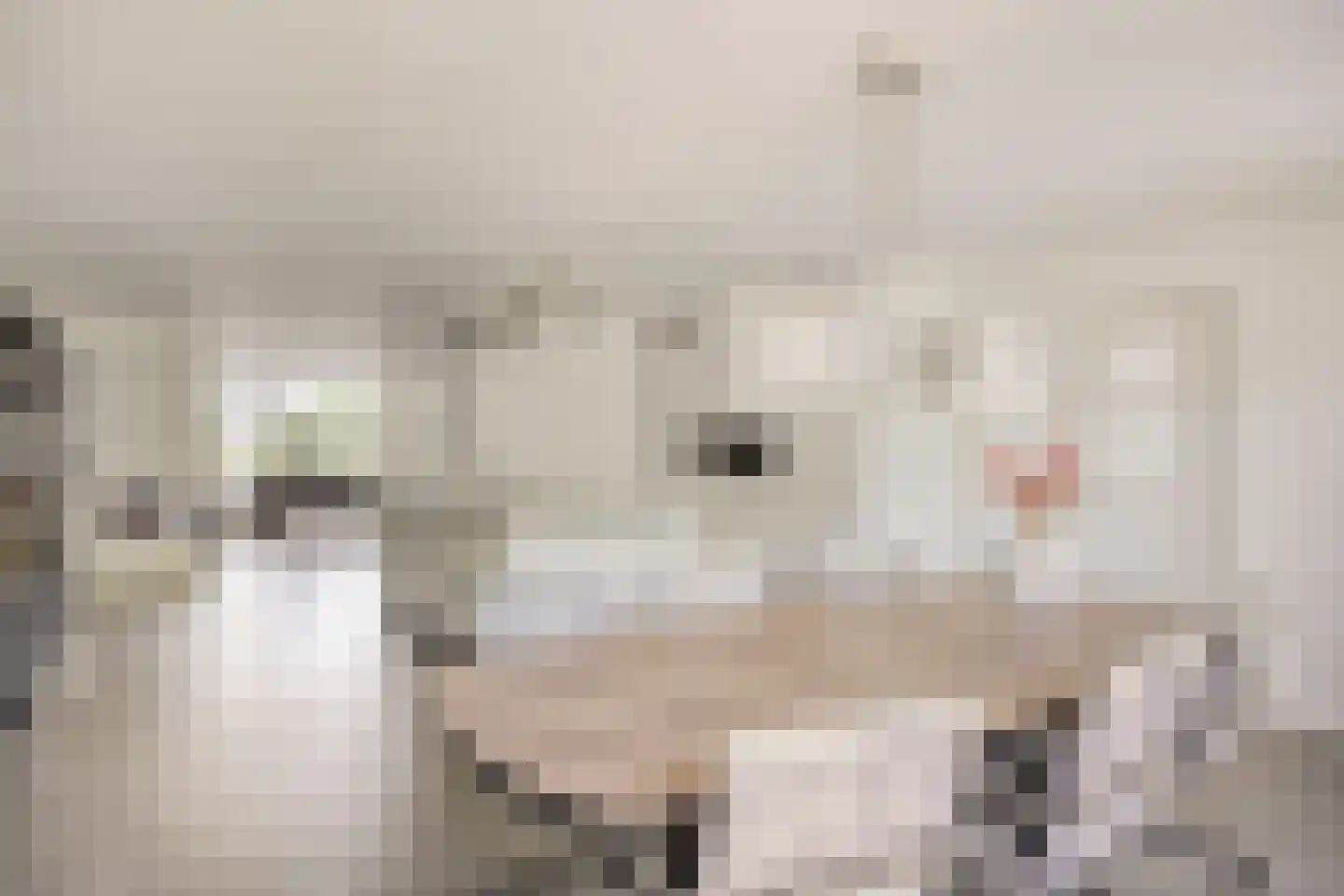 Hemelberg 40 Asten thumbnail 8