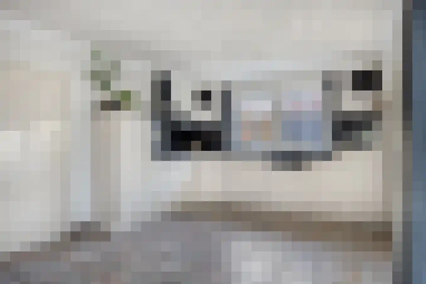 Hemelberg 60 Asten thumbnail 14