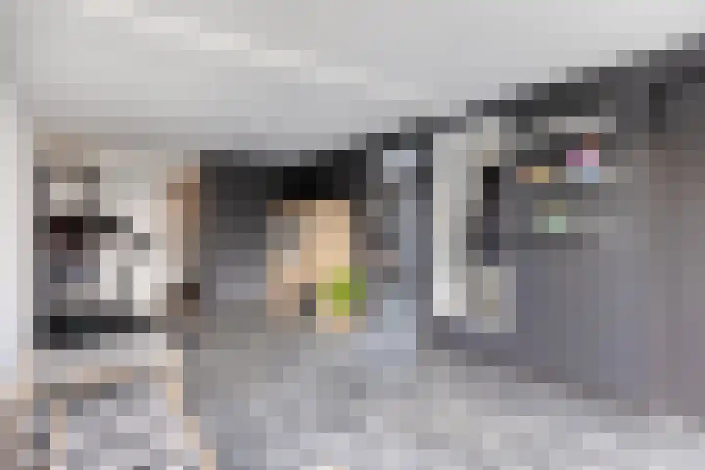 Hemelberg 60 Asten thumbnail 23