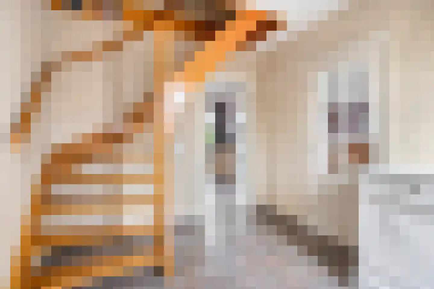 Hemelberg 60 Asten thumbnail 35