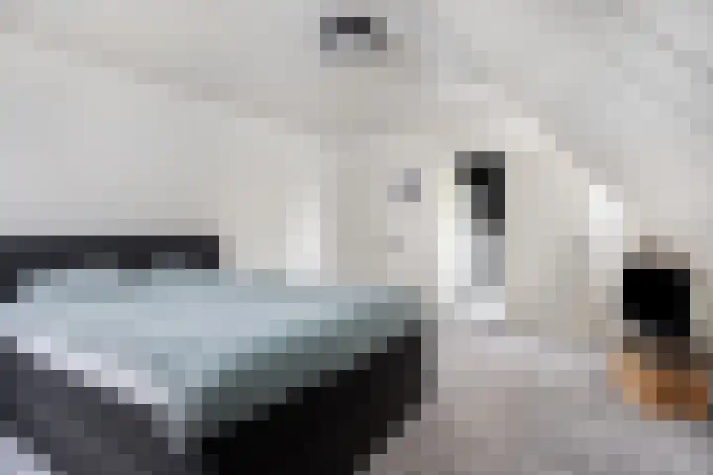 Hemelberg 60 Asten thumbnail 37