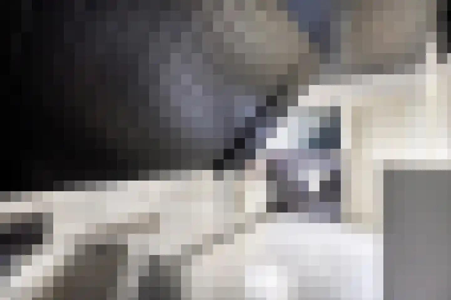 Hemelberg 60 Asten thumbnail 42