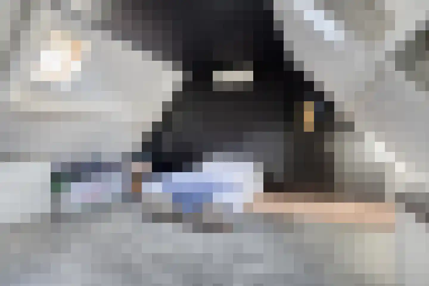 Hemelberg 60 Asten thumbnail 46