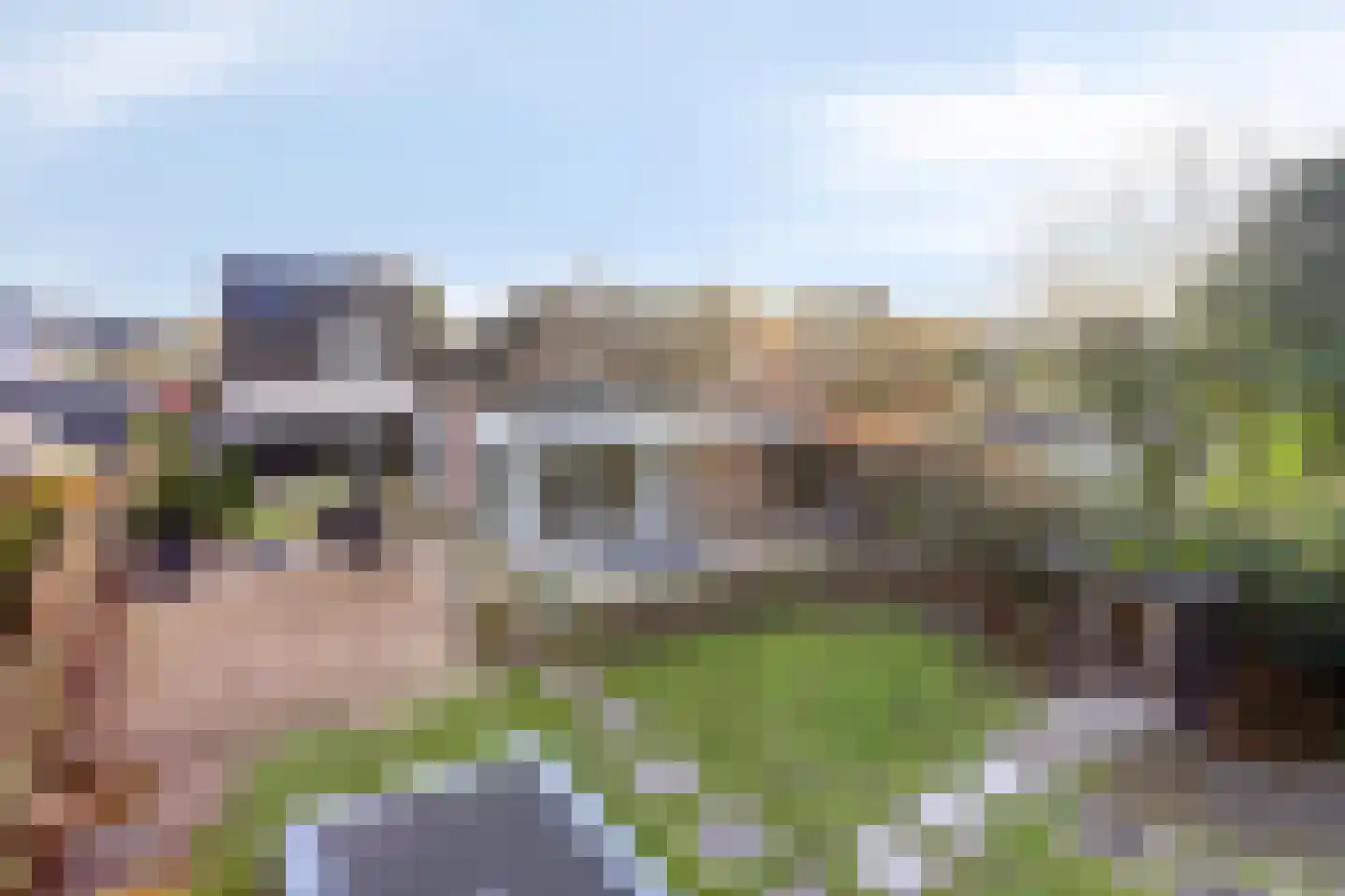 Hemelberg 60 Asten thumbnail 59