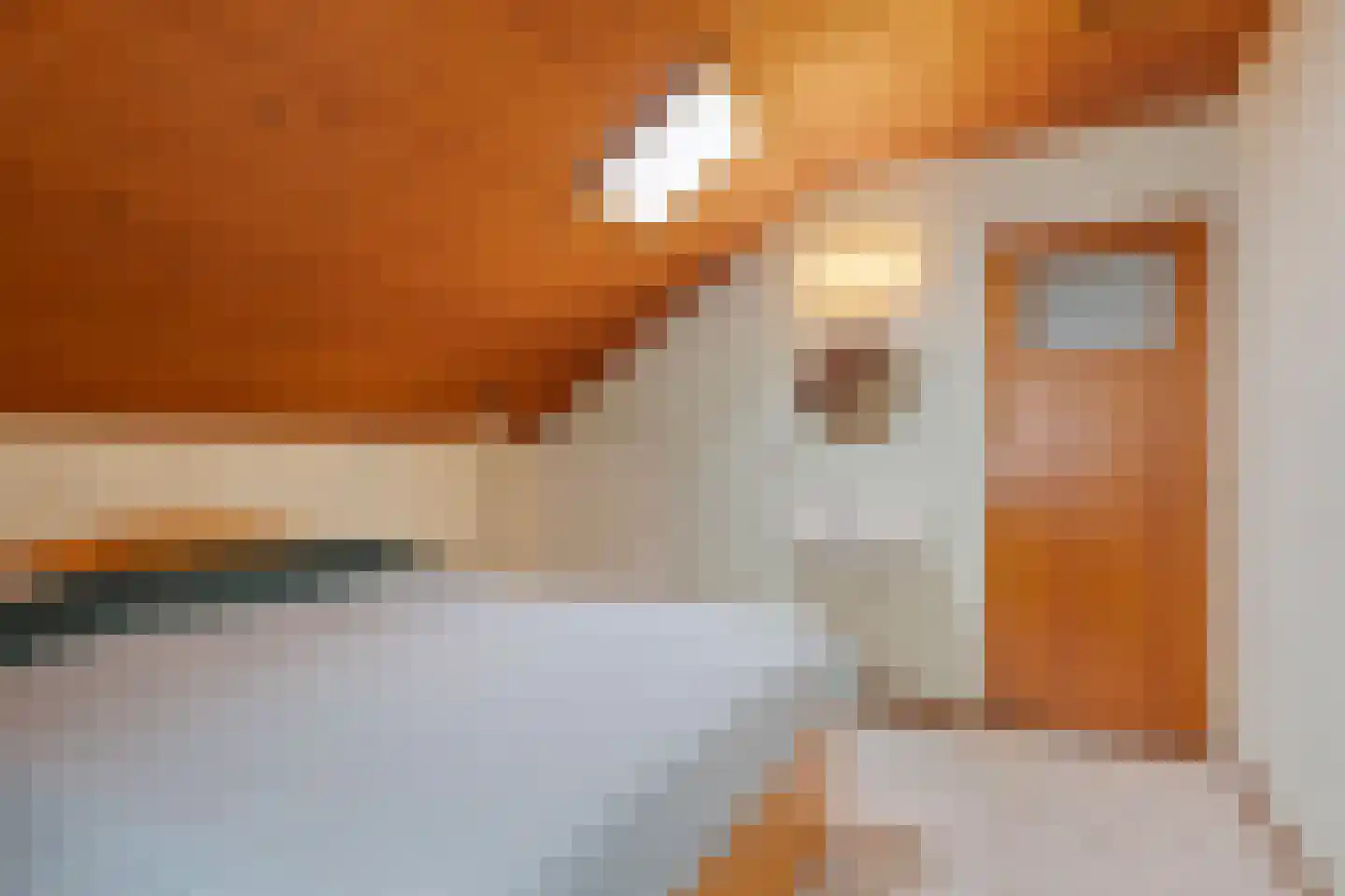 Hemelberg 61 Asten thumbnail 30