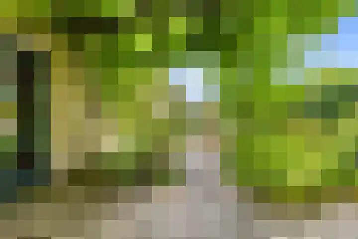 Hemelboog Binnen 37 Heerhugowaard thumbnail 32