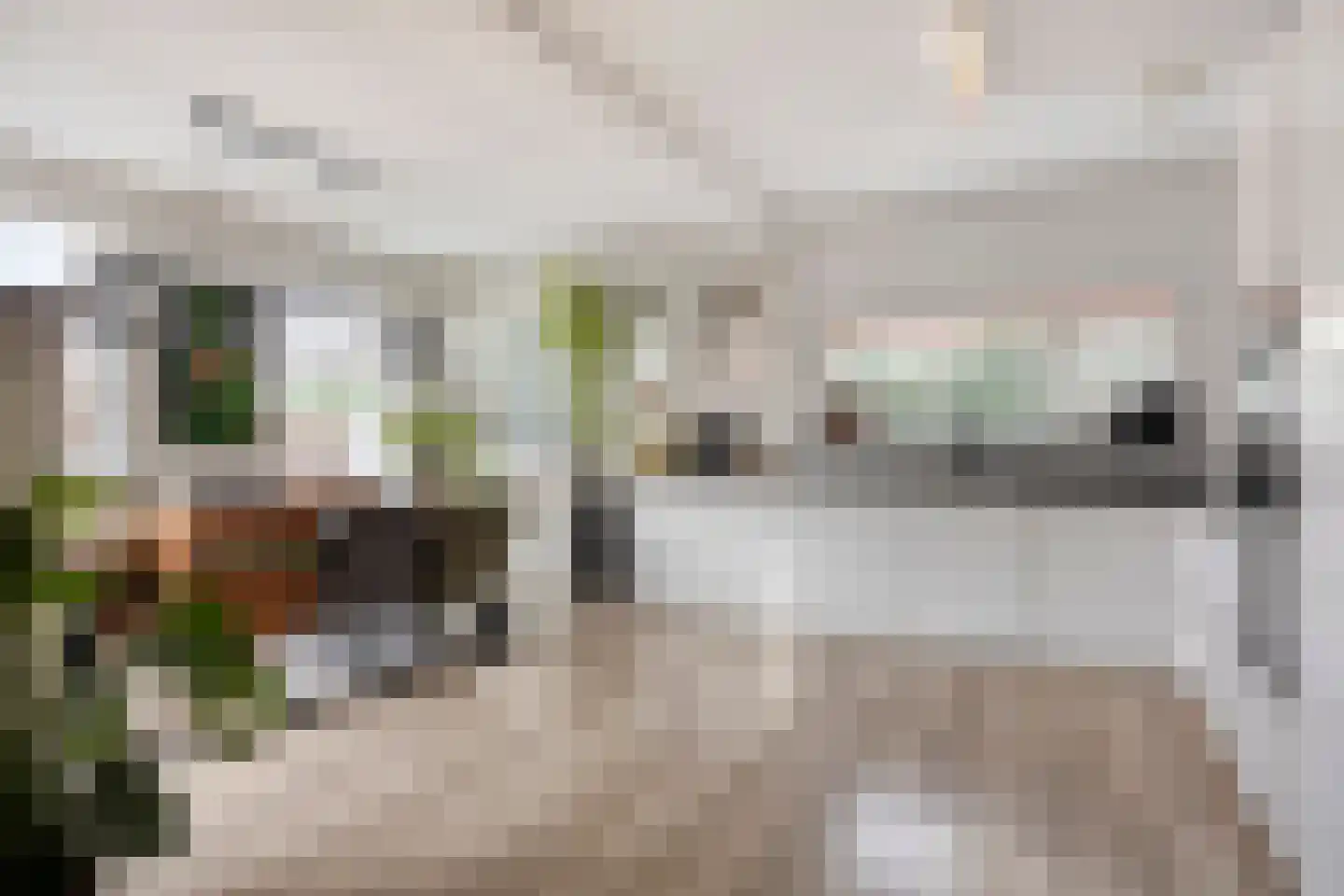Hemelboog Buiten 38 Heerhugowaard thumbnail 16
