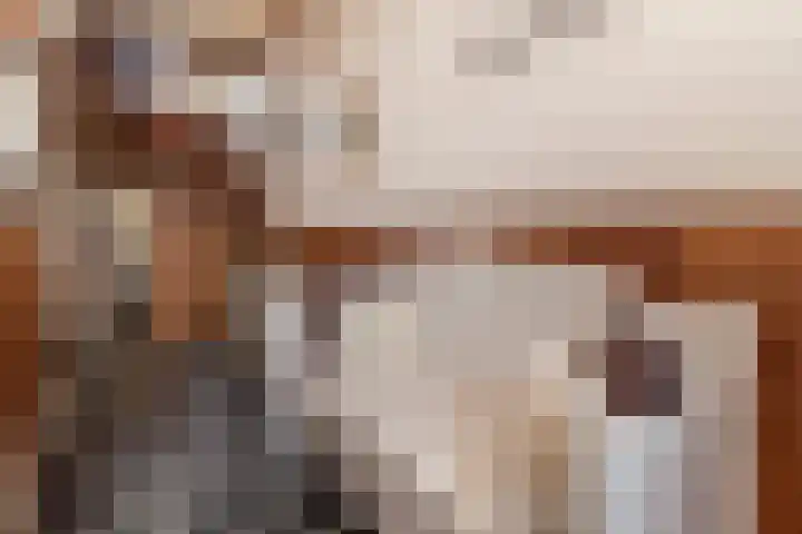 Hemelboomlaan 21 Bunde thumbnail 10