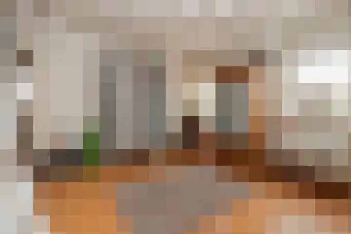 Hemelboomlaan 21 Bunde thumbnail 14