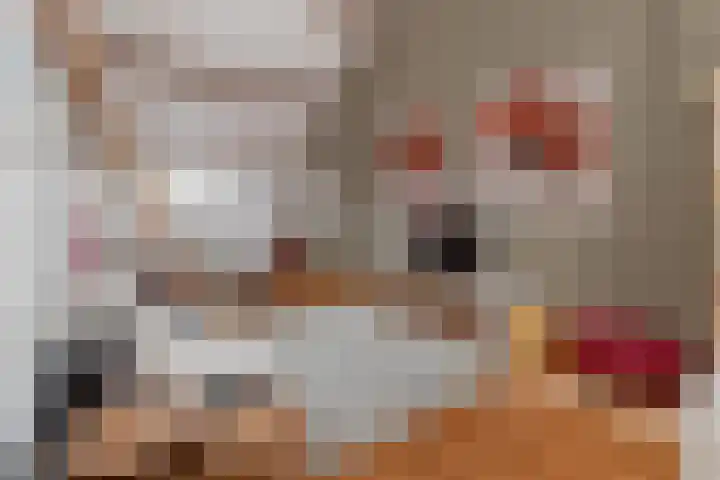 Hemelboomlaan 21 Bunde thumbnail 21