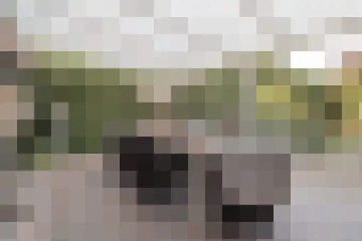 Hemelboomlaan 21 Bunde thumbnail 23