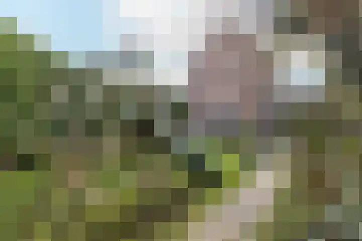 Hemelboomlaan 21 Bunde thumbnail 27
