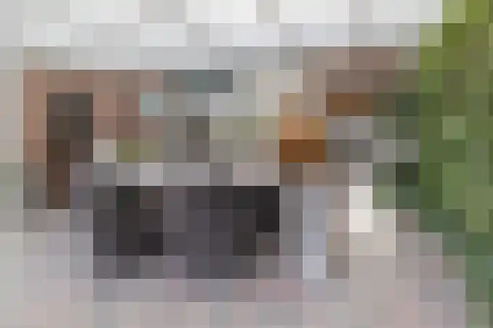 Hemelboomlaan 21 Bunde thumbnail 28