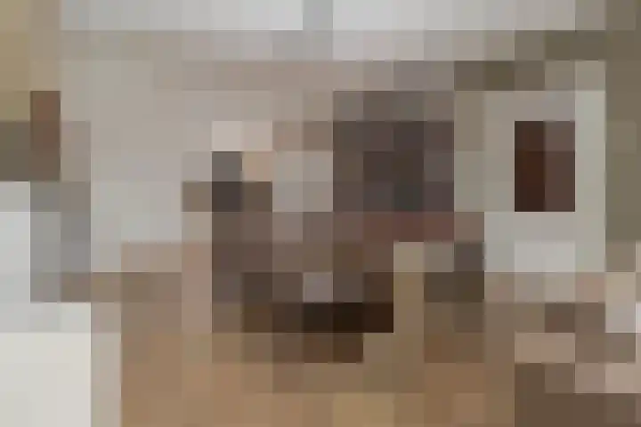 Hemelboomlaan 21 Bunde thumbnail 4
