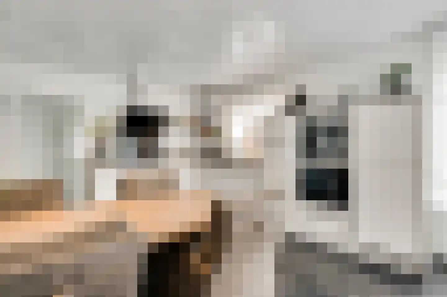 Hemeling 10 Kerkrade thumbnail 10