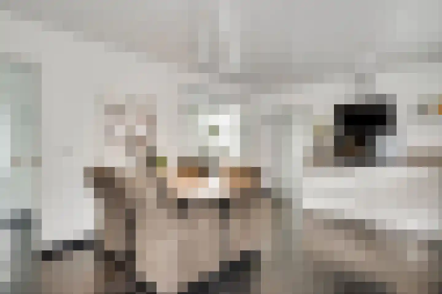 Hemeling 10 Kerkrade thumbnail 9