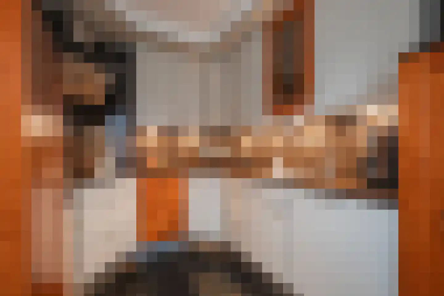 Hemeling 15 Kerkrade thumbnail 8