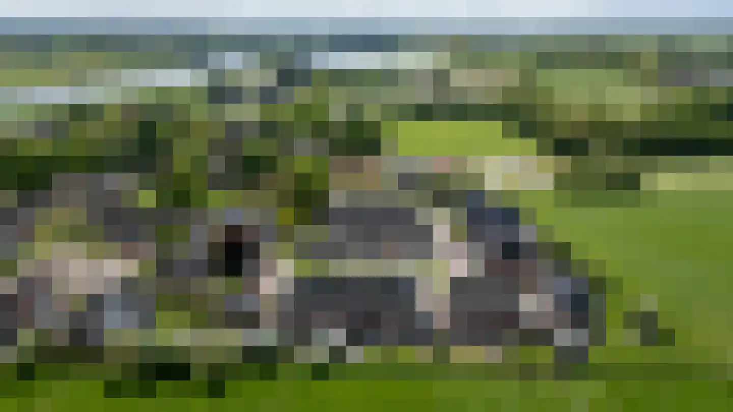 Hemelrijk 10 Welsum thumbnail 36