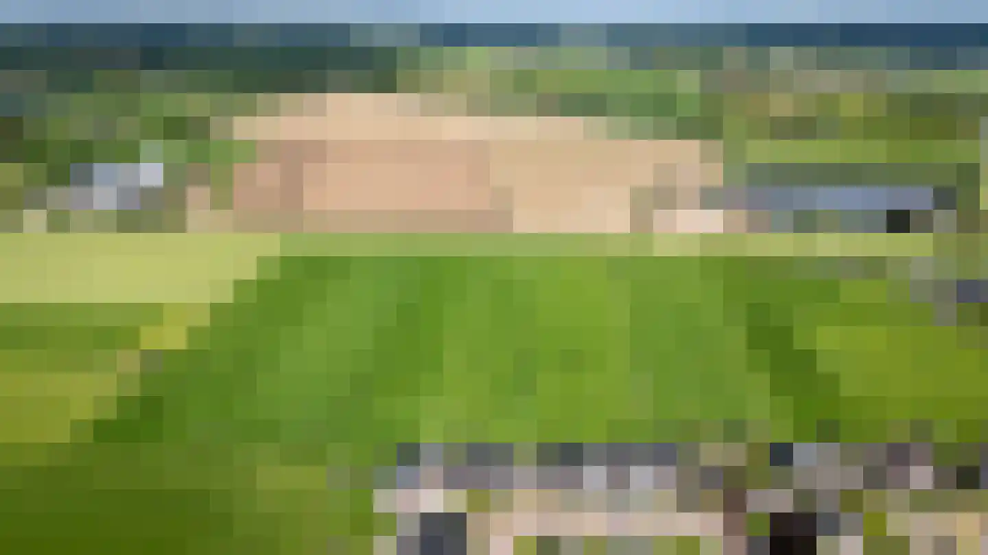 Hemelrijk 10 Welsum thumbnail 37