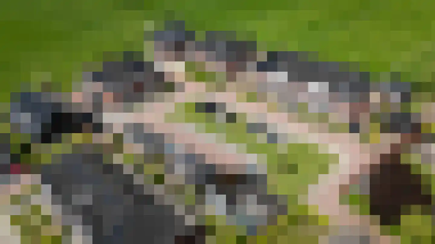 Hemelrijk 10 Welsum thumbnail 6